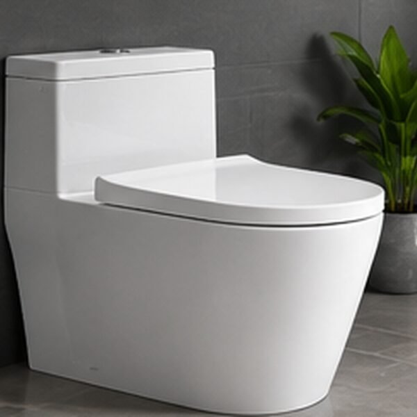 Modern Comfort One-Piece Toilet