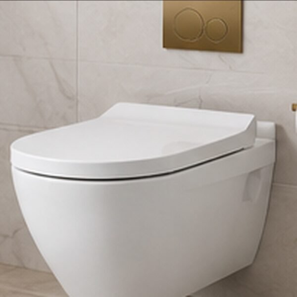 Aqua Compact Dual-Flush Toilet